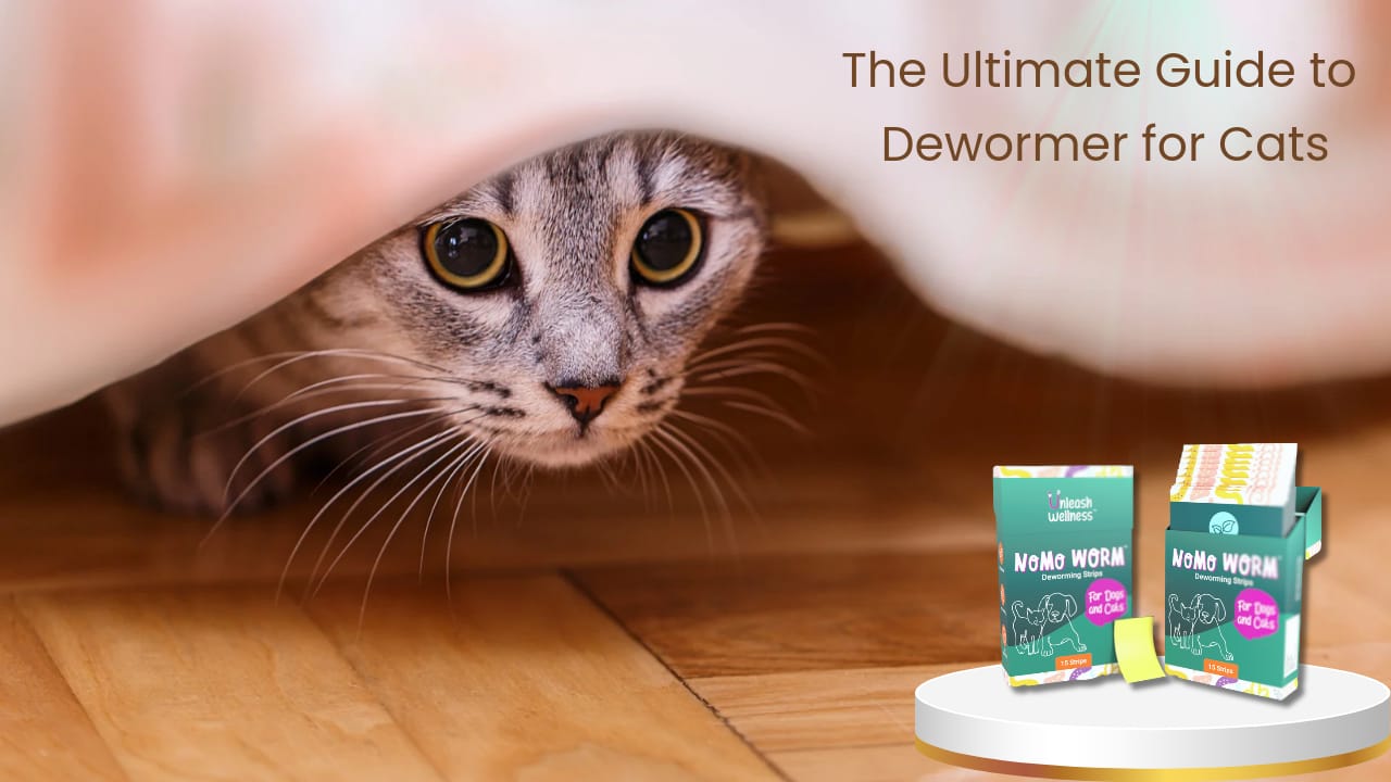 The Ultimate Guide to Dewormer for Cats Keep Your Feline Friend Healt