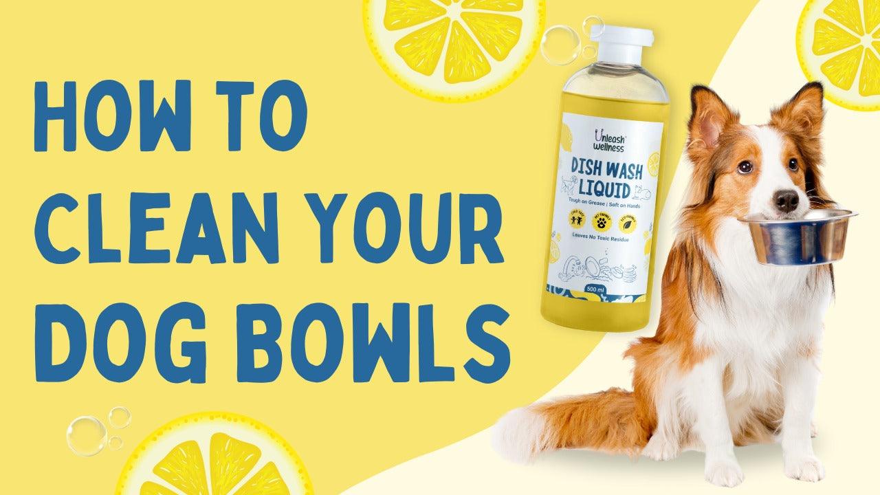 How to Clean Your Dog Bowls: The Importance of Pet-Safe Products - Unleash Wellness