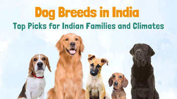 Dog Breeds in India: Top Picks for Indian Families and Climates