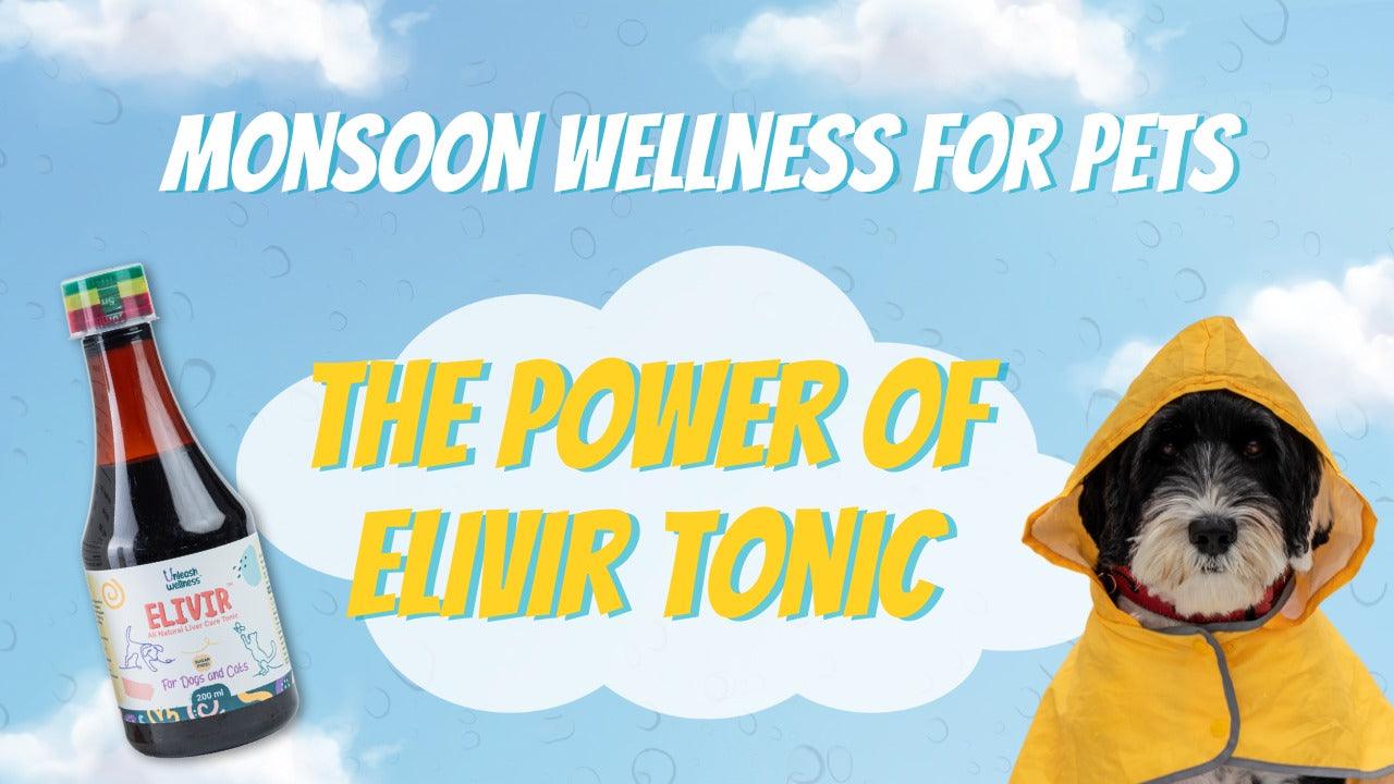 Monsoon Wellness for Pets: The Power of Natural immunity booster- ELIVIR - Unleash Wellness