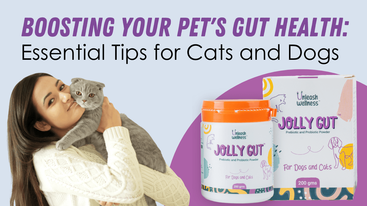 Boosting Your Pet's Gut Health: Essential Tips for Cats and Dogs - Unleash Wellness