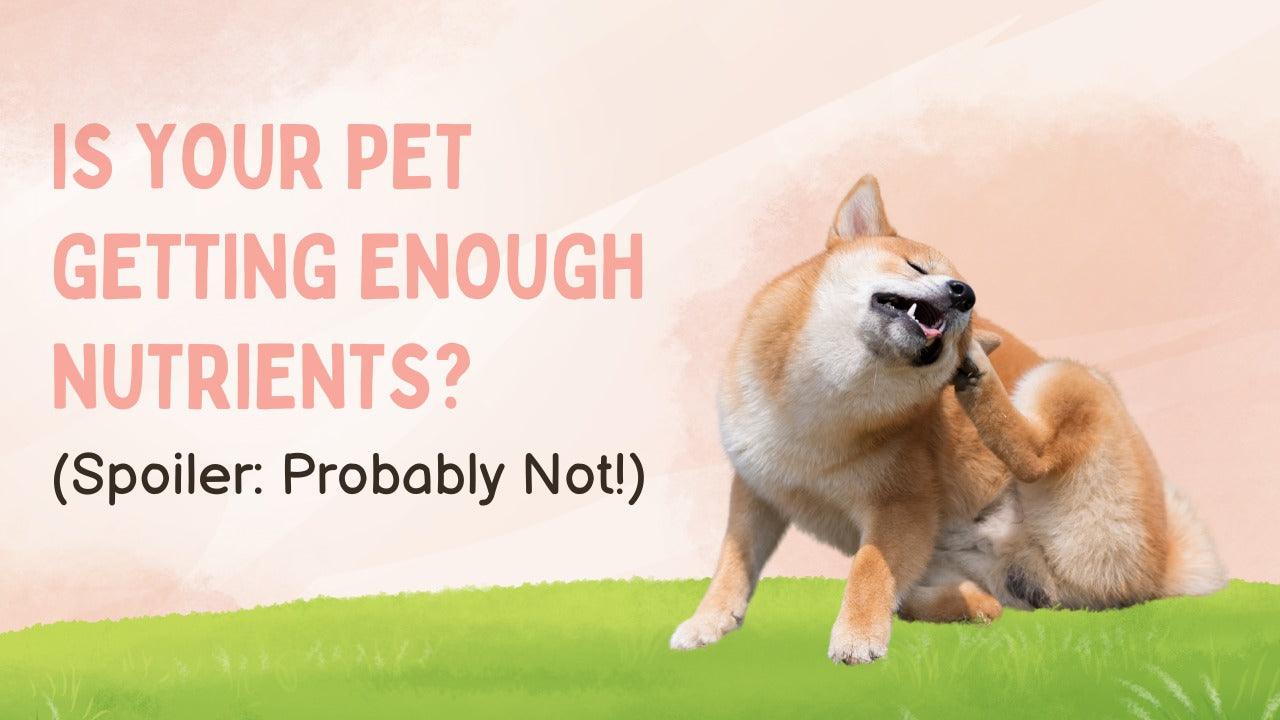 Is Your Pet Getting Enough Nutrients? (Spoiler: Probably Not!) - Unleash Wellness