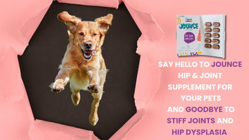 The Ultimate Guide to Hip & Joint Support Tablets for Dogs: Keeping Your Pooch Pouncing - Unleash Wellness