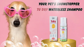 The Wonders of All-Natural Waterless Shampoo for Dogs - Unleash Wellness