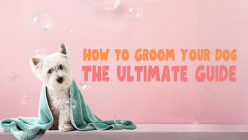 How to Groom Your Dog: The Ultimate Guide - Unleash Wellness