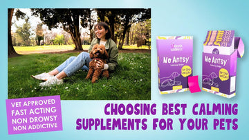 Choosing Best Calming Supplements for Your Pets - Unleash Wellness