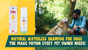 Natural Waterless Shampoo for Dogs: The Magic Potion Every Pet Owner Needs! - Unleash Wellness