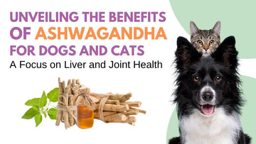 Unveiling the Benefits of Ashwagandha for Dogs and Cats: A Focus on Liver and Joint Health - Unleash Wellness