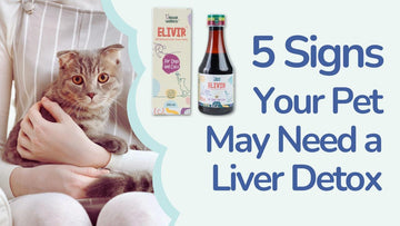 5 Signs Your Pet May Need A Liver Detox - Unleash Wellness