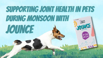 Supporting Joint Health in Pets During Monsoon with Jounce