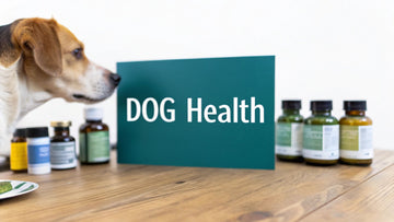 7 Best Dog Supplements in India (2025 Buyer's Guide)